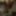 Ücretsiz Kaitlinspeary Fotoğrafları