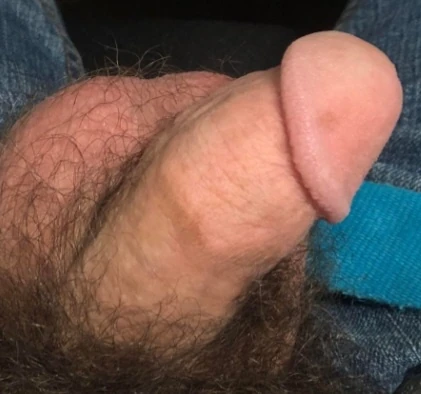 Cocks #12