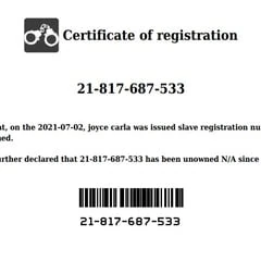 slave registry