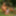 Hot Nessa Devil naked in the paradise garden #16