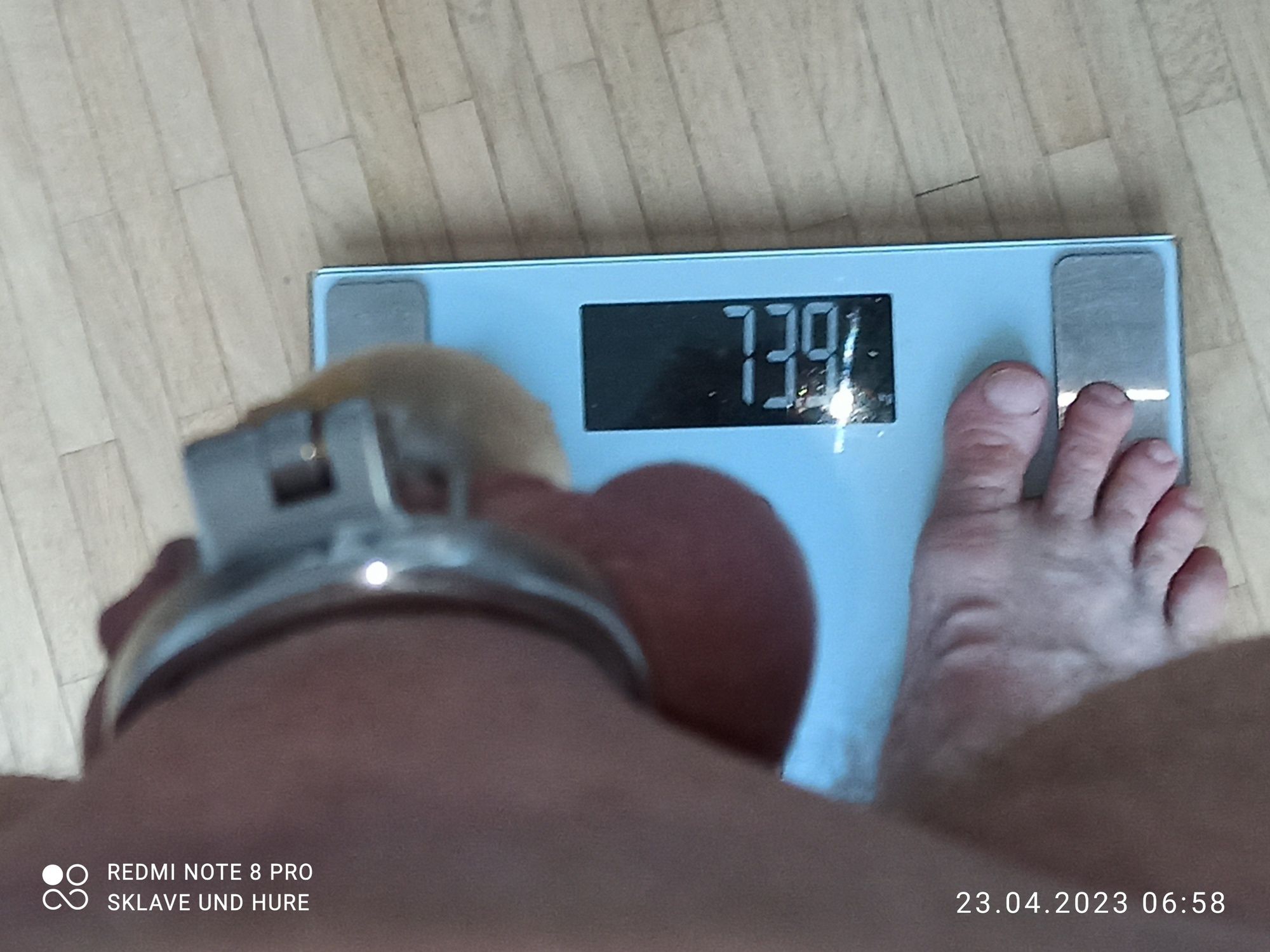 mandatory weighing and cagecheck of 23.04.2023 #8