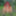 Redhead Outdoors Strips Jeans Off Wearing Pantyhose #52