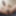 Self nudes
