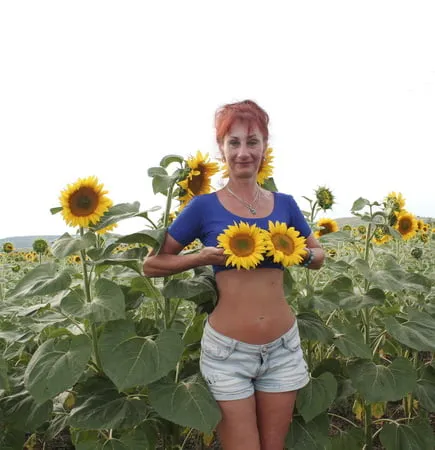 sunflowers         