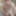 exhibitionist naked jerking cumshot in the woods