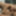 SEXUAL FANTASIES - SHARING DILDO AS A COUPLE BISEXUAL 2 #15