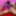 Alisya JC weekly photos 30 Anal Dildo Gape