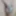 August 5, 2024 Daily duty of the naked slave