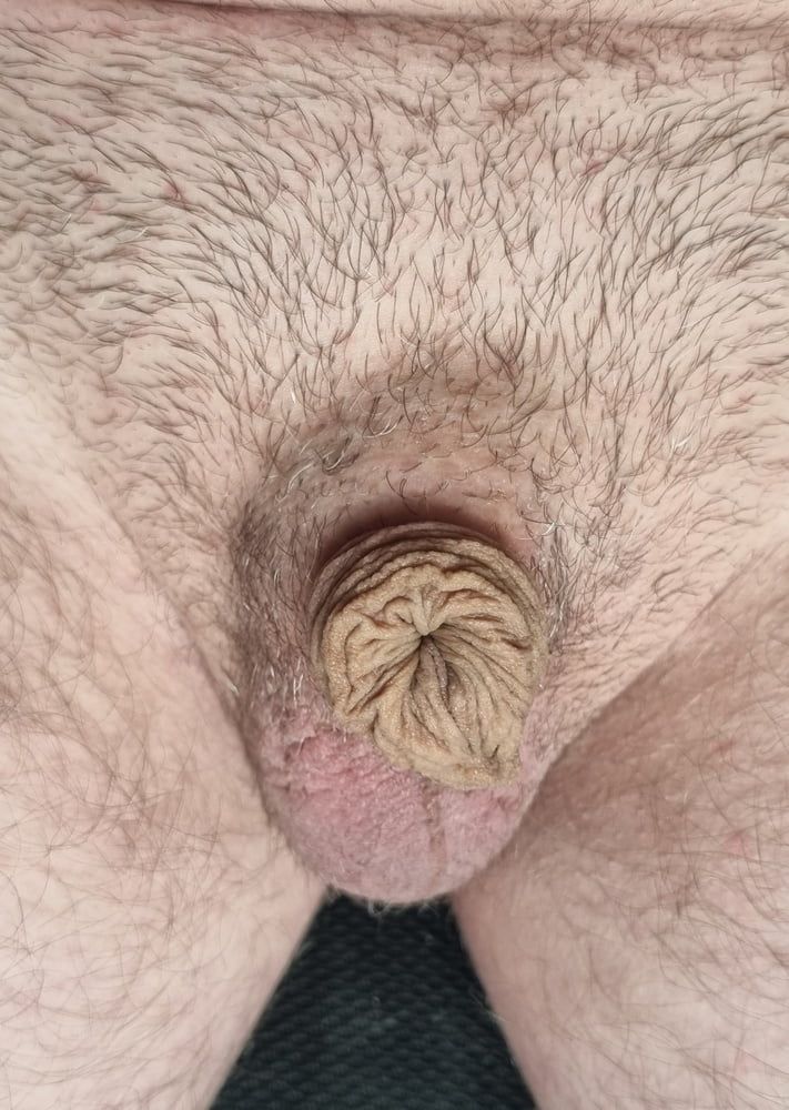  Very small and hairy #5