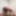 PupPlay Content 