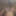 初めてのメイクアップ
