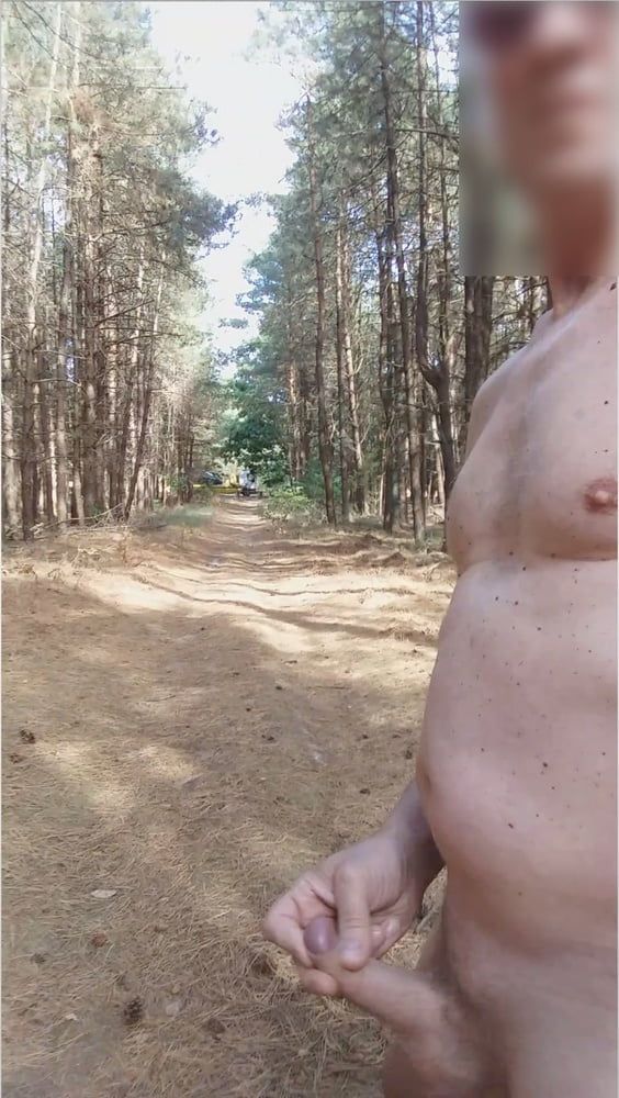 exhibitionist naked jerking cumshot in the woods #6
