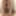 Lindaasian-ts for Master DOM_isil (part 2). #40