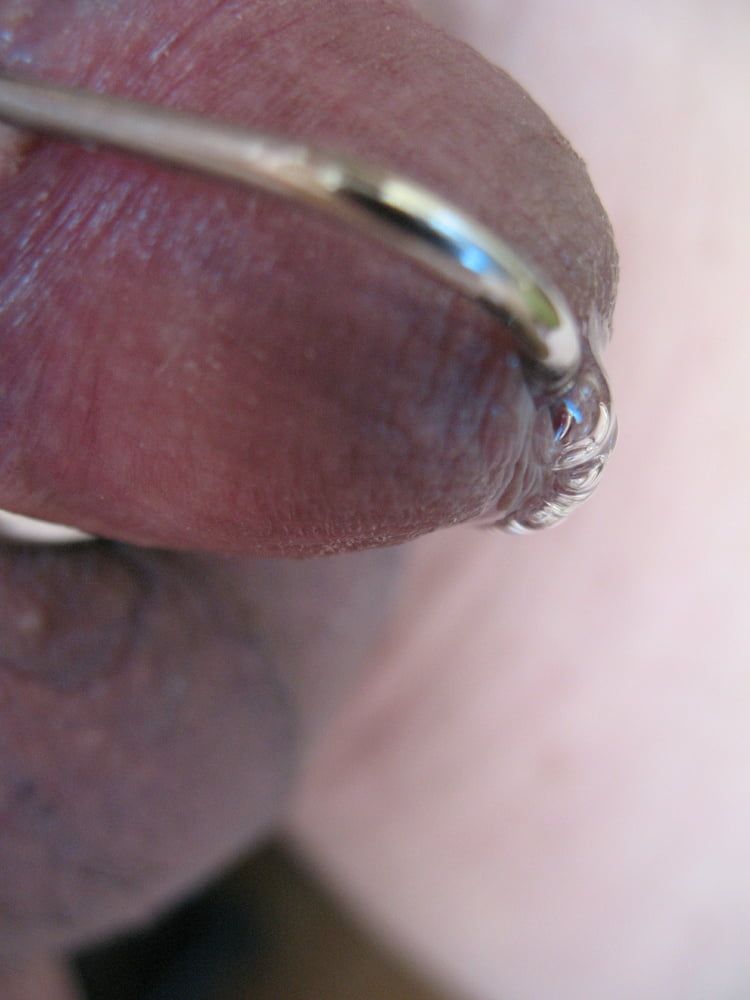 More steel in my cock with glans ring #56