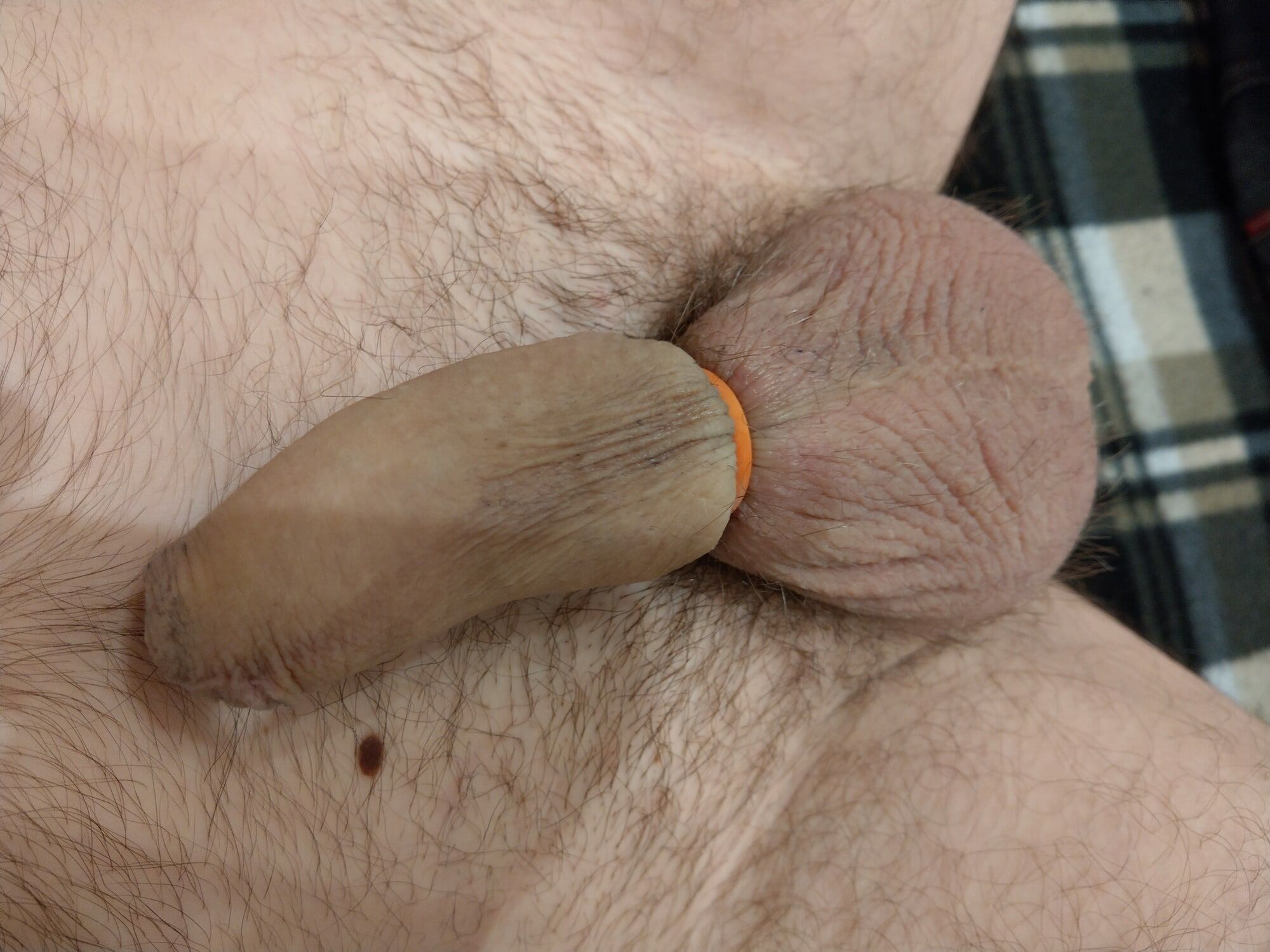 Flaccid cock banded