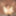 巨大なペニスを備えたセクシーなAmazon TS PT3