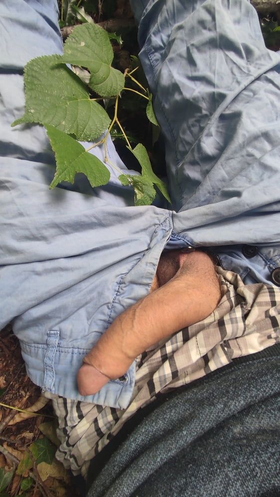 Lying on the forest floor , uncover my dick #9