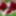 The Grinch&#039;s Cock Gif&#039;s