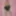 Joanie - Lady Marlene Bustier and Rhumba Garter Belt
