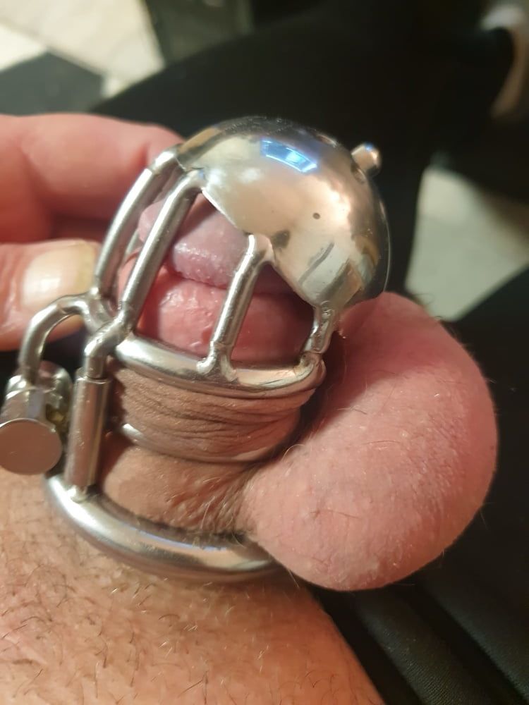 Chastity Cage 6