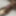 My cock