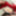Couples dick ass and pussy nylon style Vol. ! #28