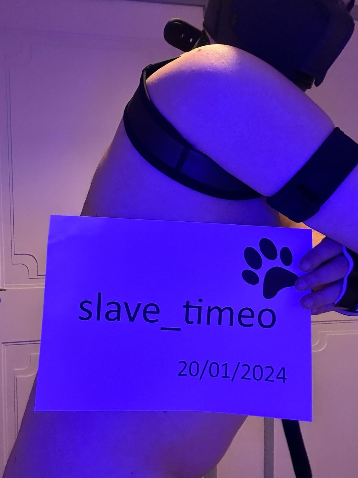 Presentation of slave_timeo (blue shooting) #41