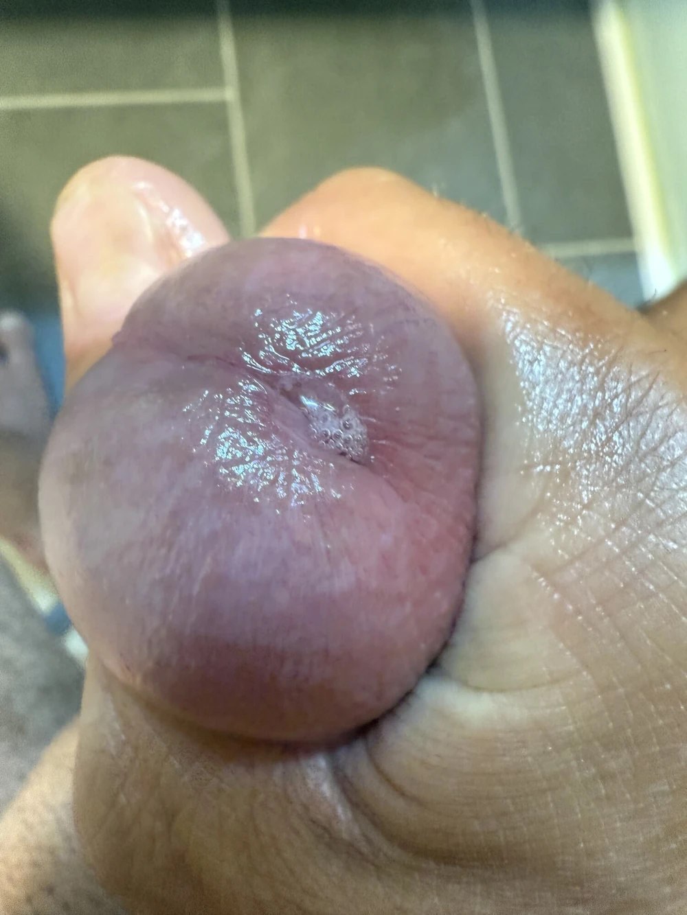 Precum Session #5