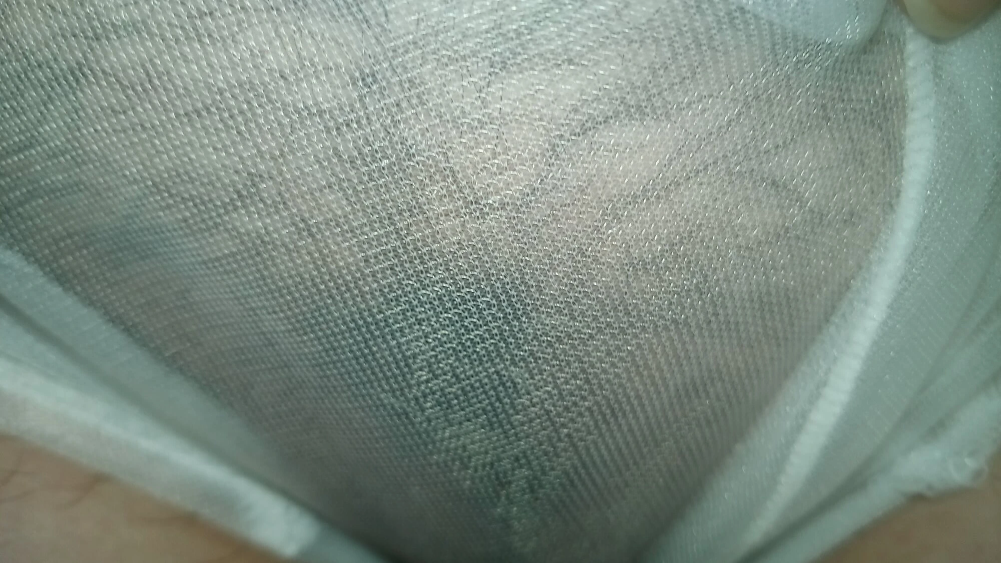 毛茸茸的阴户在透透的内裤