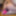 Do you like butts? SecretFriends.com asses!  #22