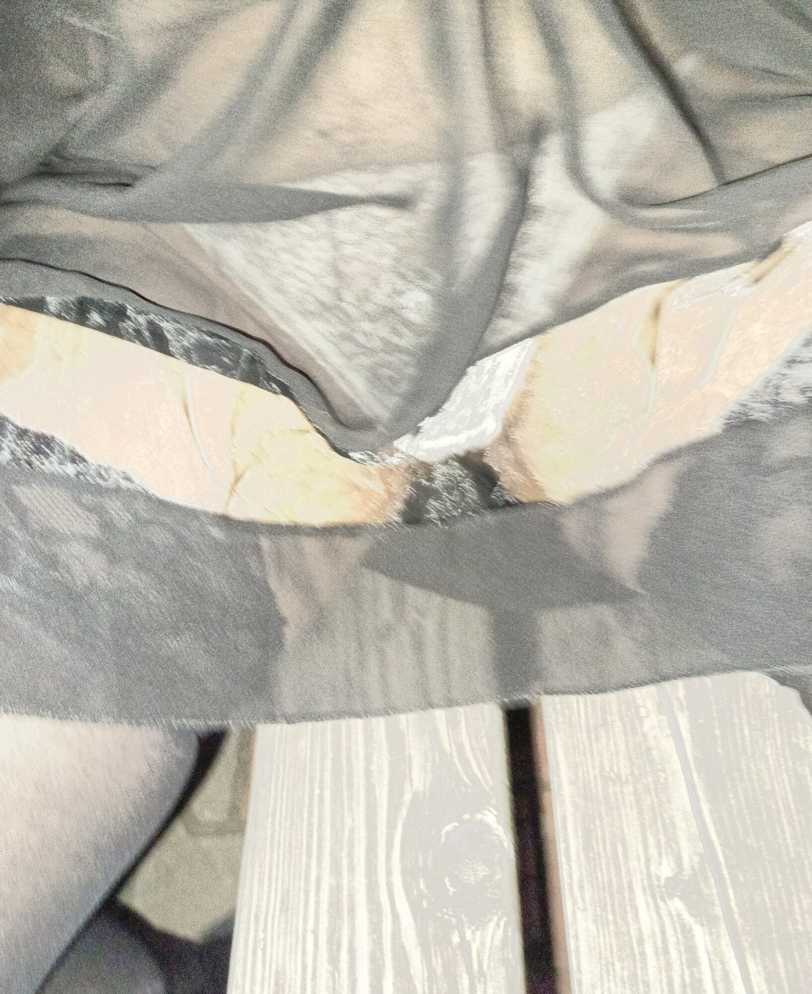 SEETHRU SKIRT #2