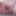 Soft uncut penis