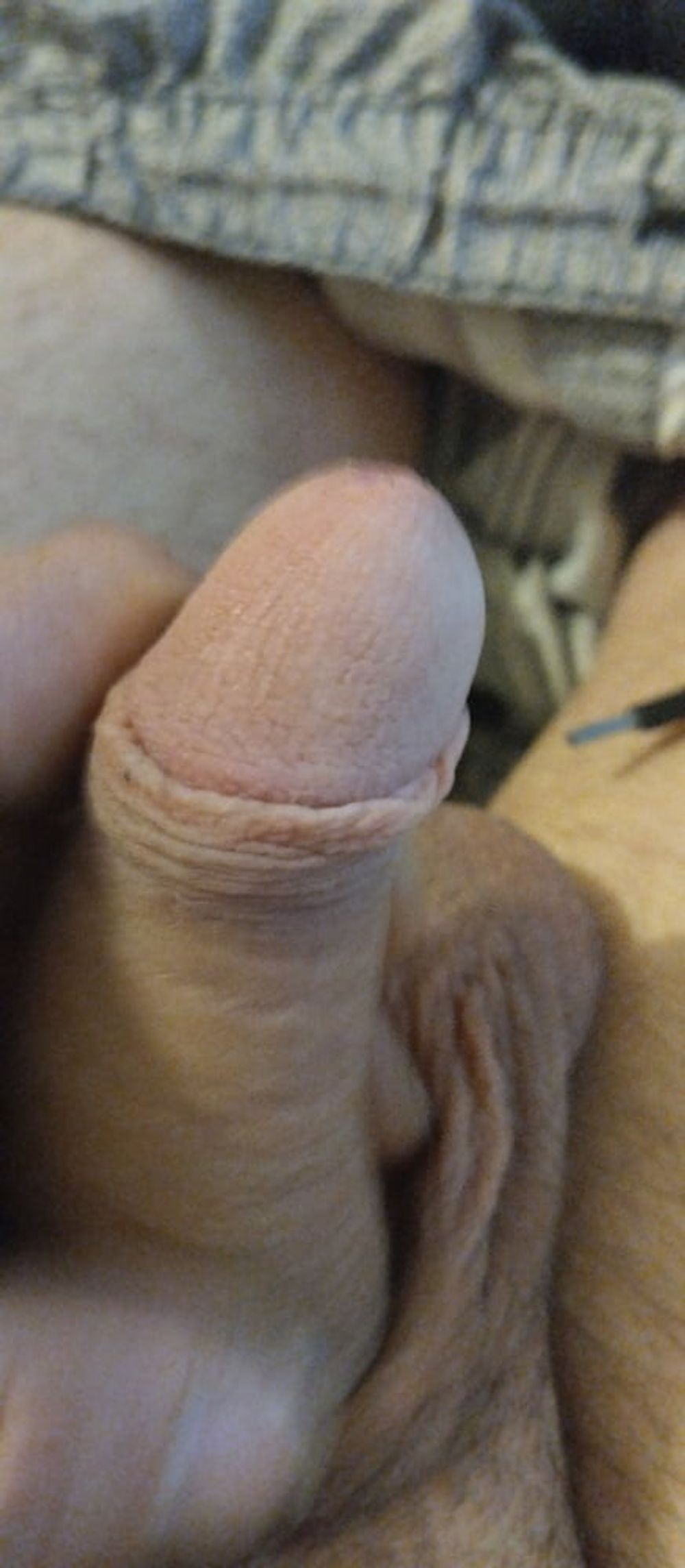 Dicker Penis  #3