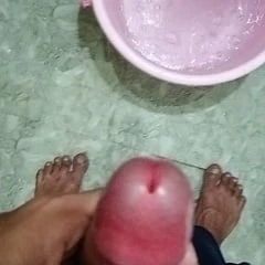 Young Cock 