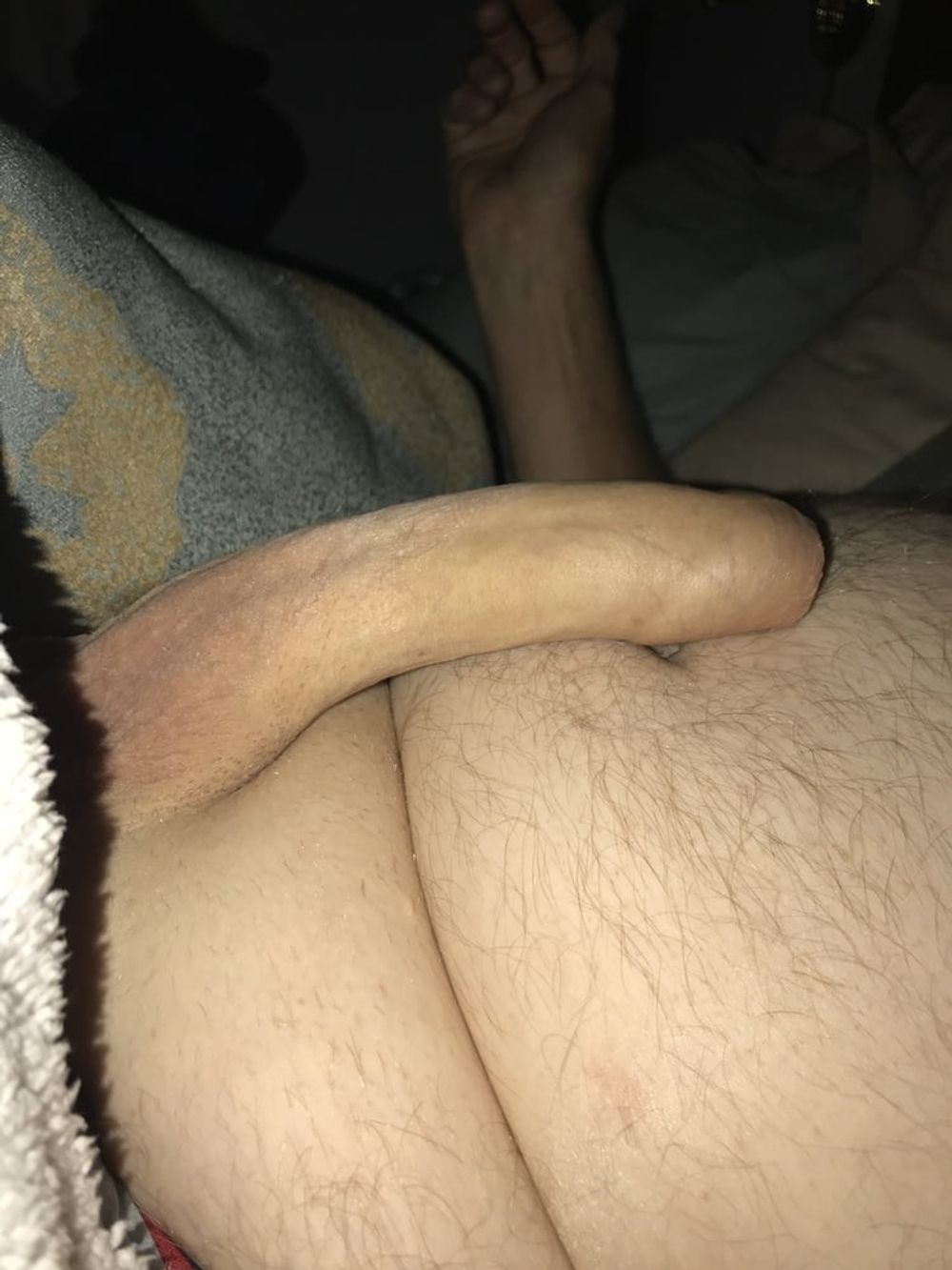 Morning Wood Again  #2