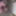 私のコックの写真