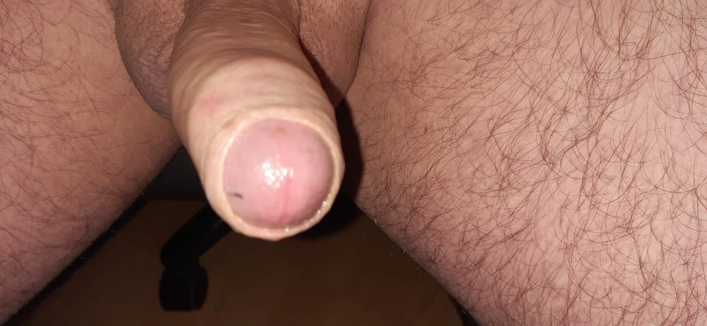Cock #3