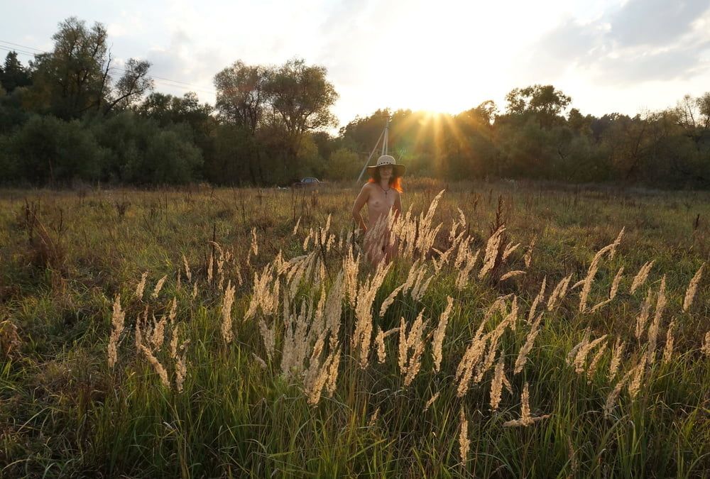 In Sunset Rays #6