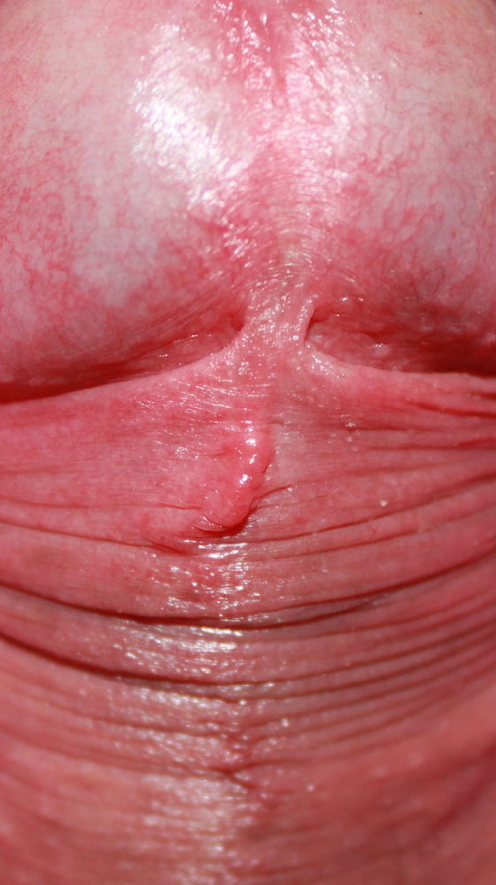 Close up dick #12