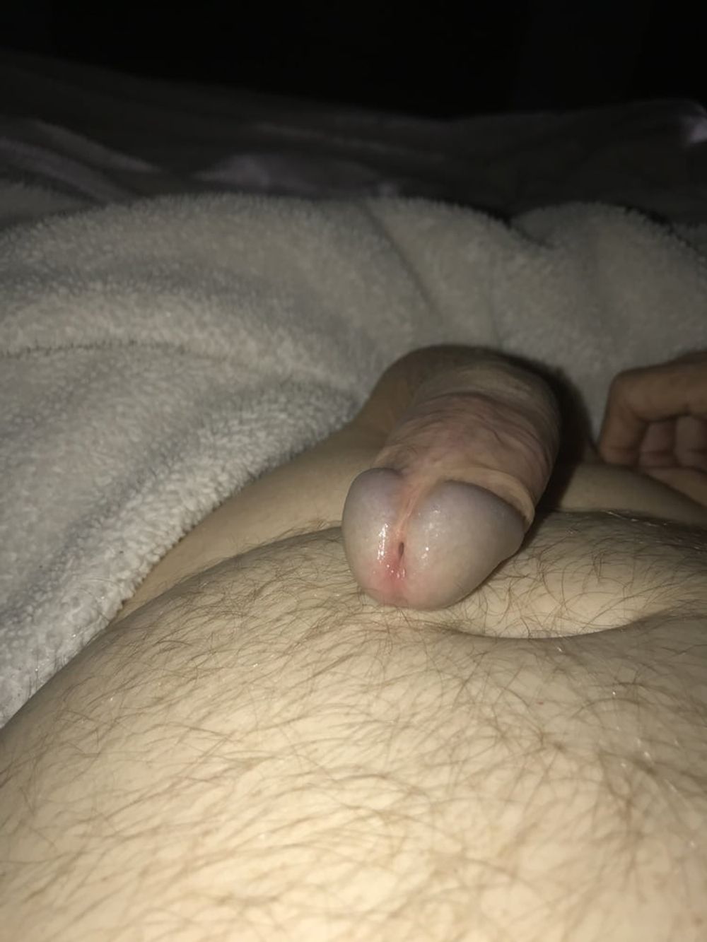 More Cock #24