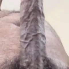 My Dick