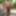 Amateur Crossdresser Kellycd2022 sexy milf in pink bikini