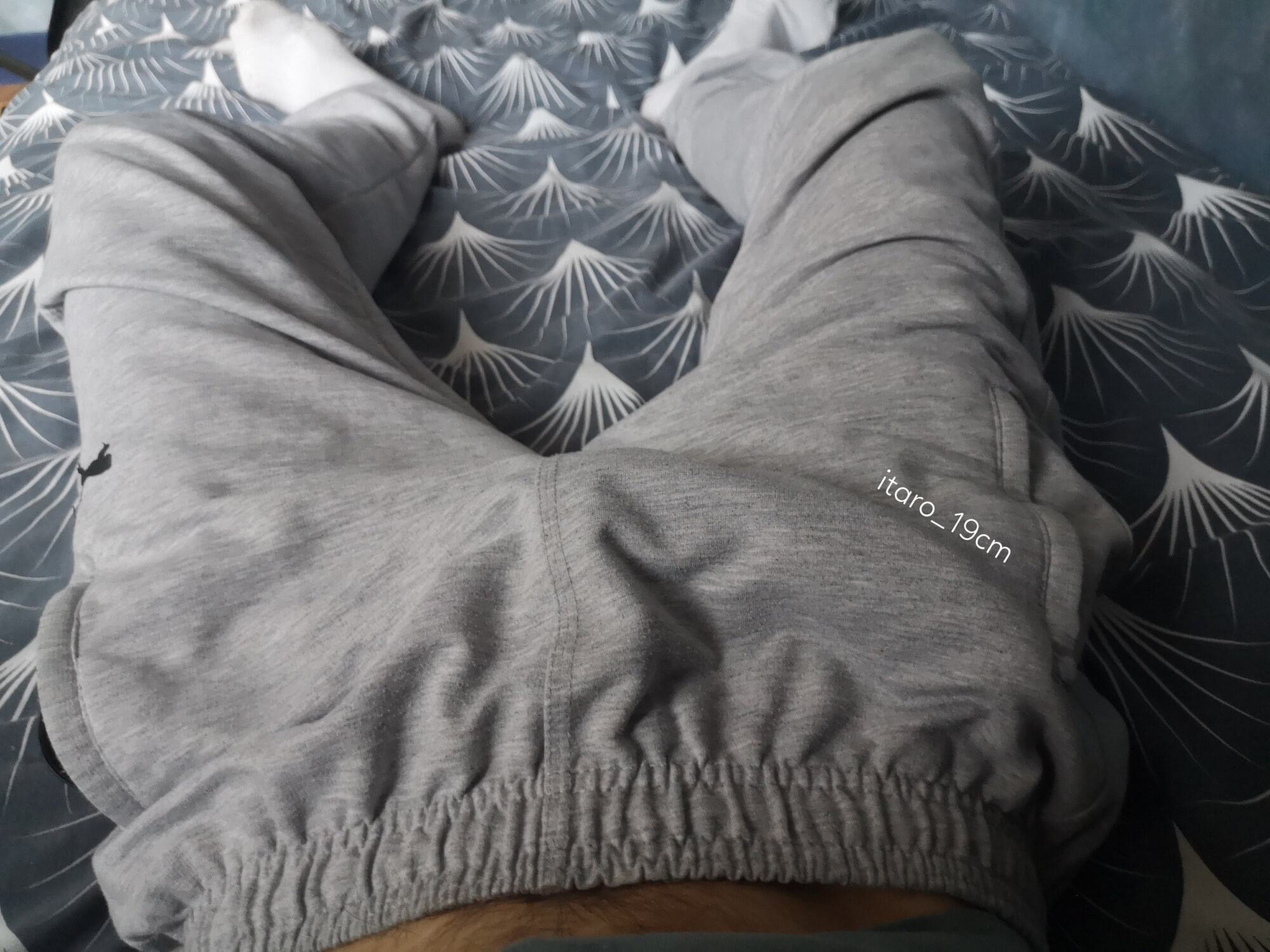 my bulge in sweatpants