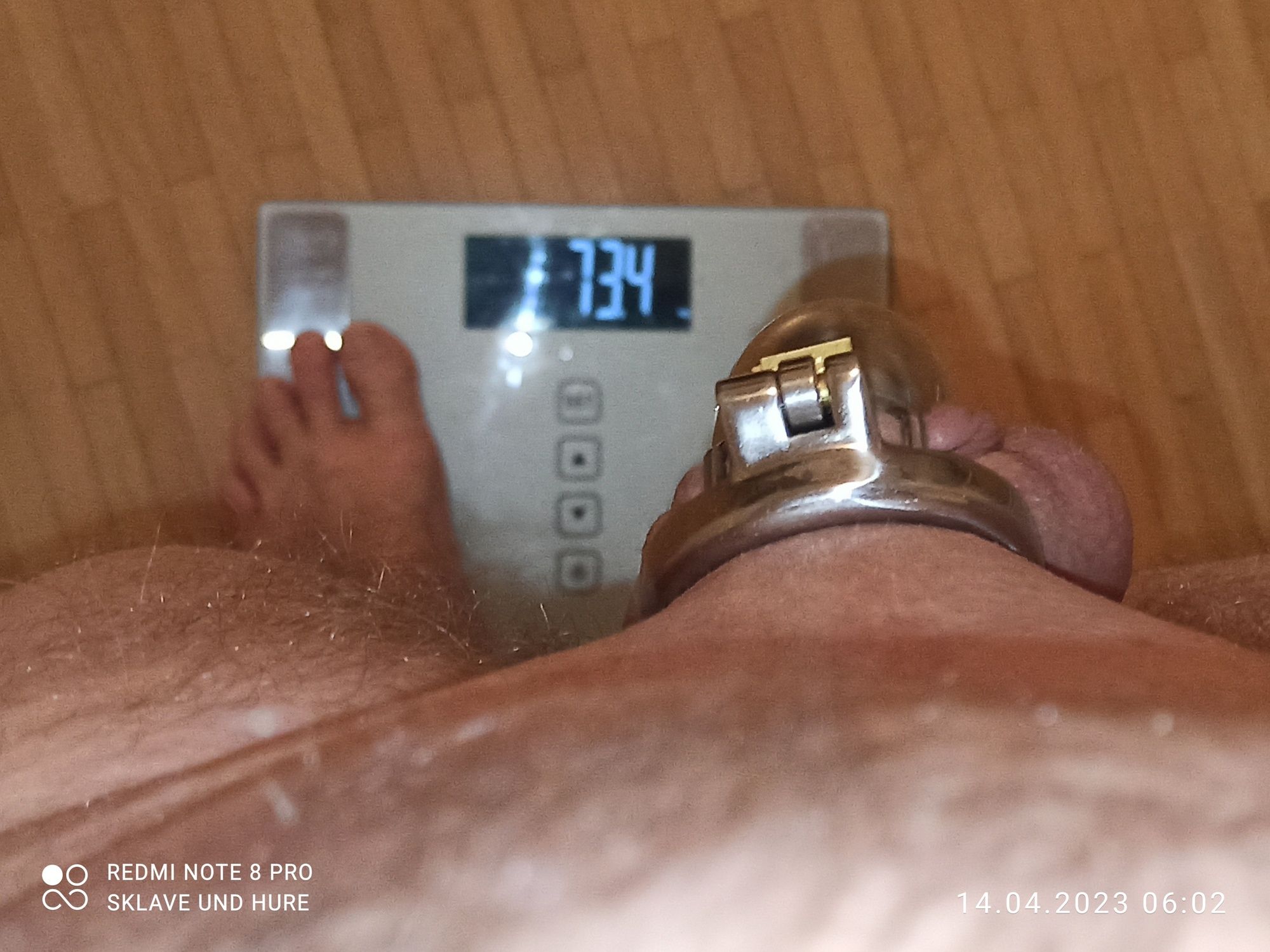 Displayed weighing and cagecheck of 14.04.23 #6
