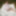 Teaser of body before today&#039;s stream #4