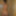 Kinky beauty masturbates in the shower for me #21