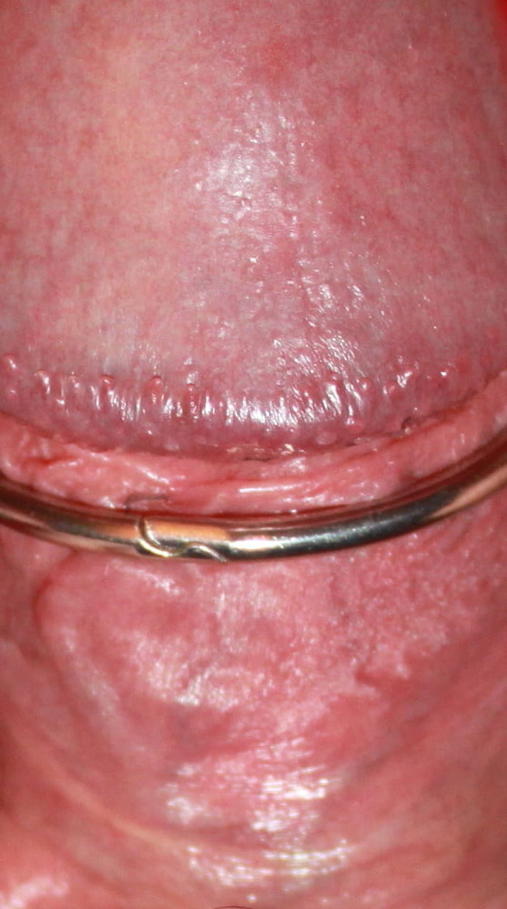 Close up dick #59