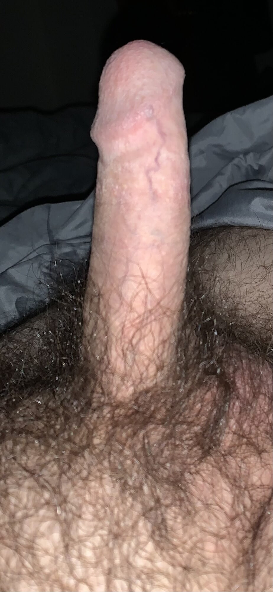 Gallery 5: Standing at attention  #7