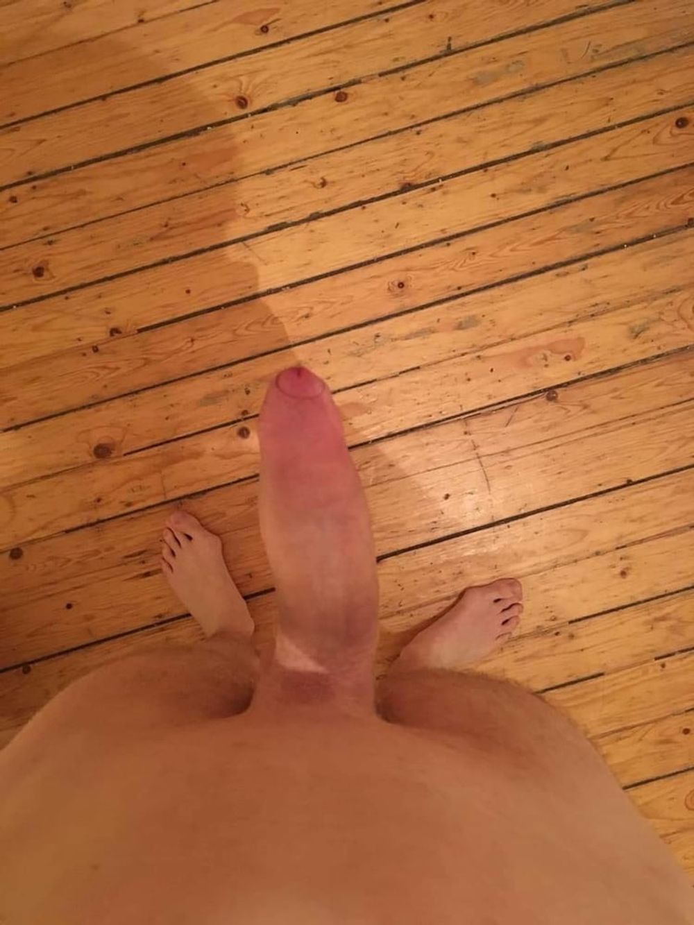 Cock #3