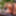 JOEYSTRANSFEETGIRLS: Itzel Saenz&#039;s First Footjob #7